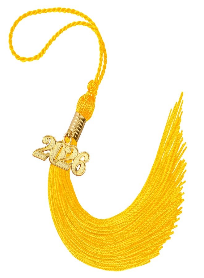 Nelisylux 2026 Tassel Graduation, Gold Graduation Tassel, Tassel Charms for Graduations Cap Decorations, Tassels Memorial Grad Cords Class of 2026 College High School Graduate Hat Ceremonies Accessories - Image 1